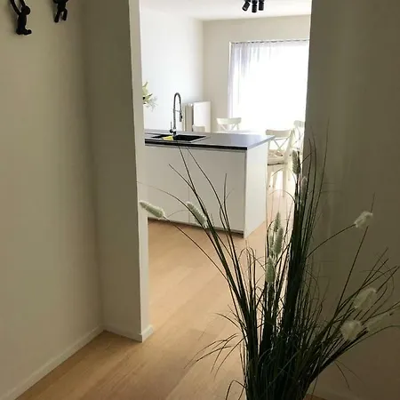 Ocean Breeze * 奥斯滕德